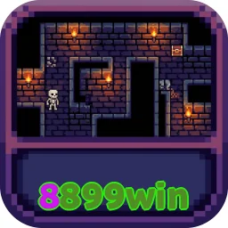 8899win